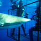 Illustration for article titled Nation’s Shark Experts: ‘You Could’ve Had This Job’